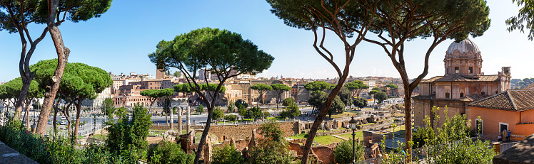 Panoramic view of the ruined Trajan Forum and Forum of Augustus with pine trees in Rome