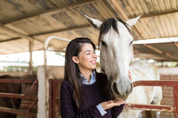 istock Rancher Feeding Hungry Horse 1076819156
