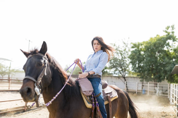 istock Rancher Riding Horse On Sunny Day 1076819228