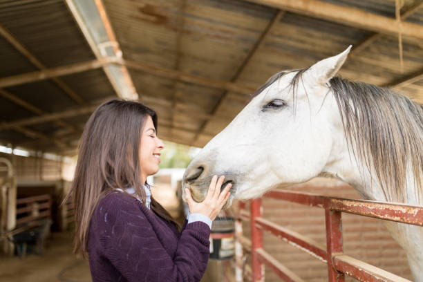 istock Rancher Touching Horse In Stable 1076819440