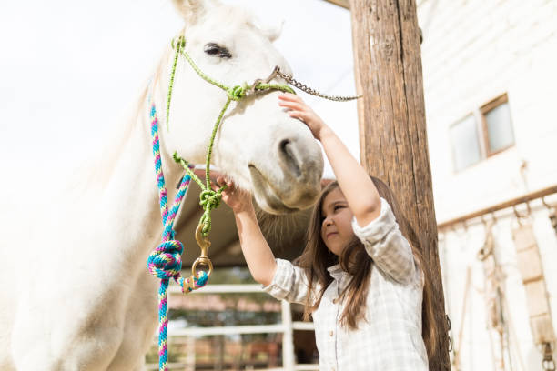 istock Taking Care Of Horse At Barn 1076819650