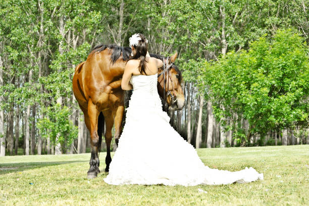 красивая невеста позирует со своим питомцем лошадь - honeymoon wedding paris france bride стоковые фото и изображения