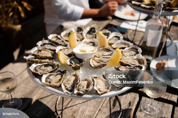 テーブルの上の皿においしい牡蠣 - 牡蠣のストックフォトや画像を多数ご用意 - 牡蠣, アルカション, 酒場