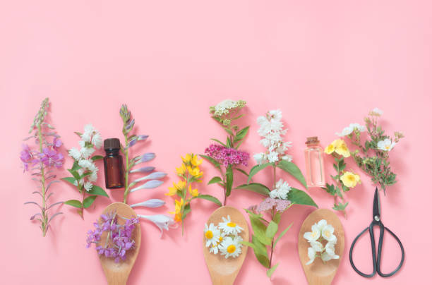 istock Different meadow wild flowers on pink background. Floral composition with copy space. View from above. Spa concept. 1076835748