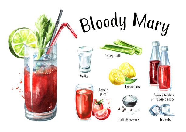 koktajl z alkoholem bloody mary składników zestaw. ilustracja narysowana ręcznie akwarelą izolowana na białym tle - bloody mary stock illustrations