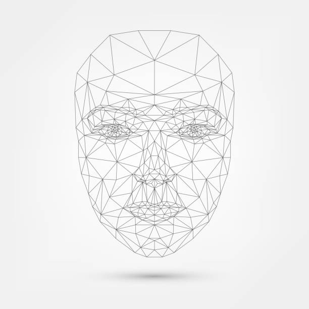 illustrazioni stock, clip art, cartoni animati e icone di tendenza di faccia wireframe - modalità wire frame