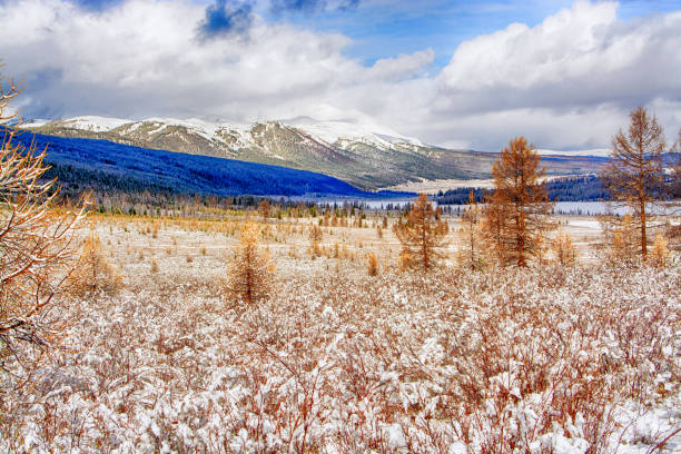 istock Nature in winter in the mountains 1076844886