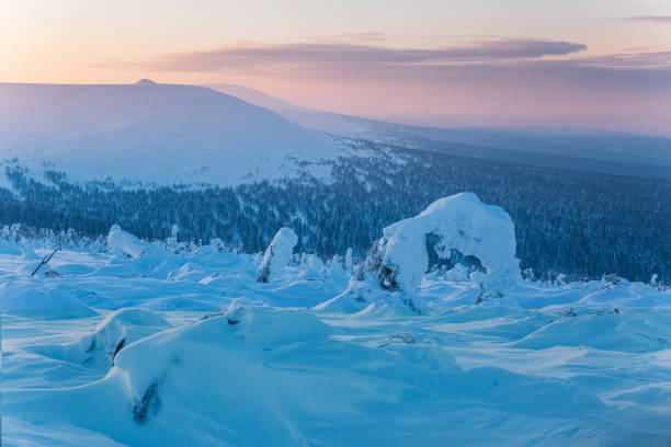 istock Snow covered spruce tree. Northern Ural mountains, Russia 1076850846