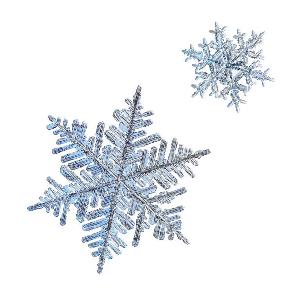 istock Two snowflakes isolated on white background 1076862928