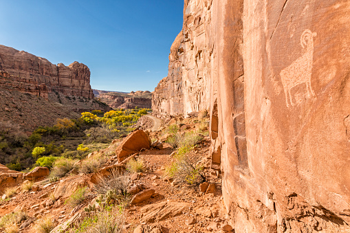 Petroglyphs along Kane Creek Road above Kane Springs Canyon with golden Autumn Cottonwood trees near Moab, Utah.