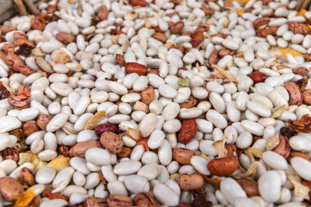 istock Closeup of different types of beans background. Bean texture 1076879490