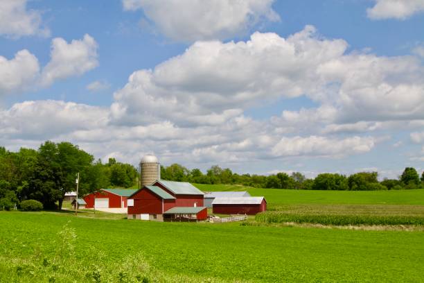 istock Summer Farm In Wisconsin 1076888084