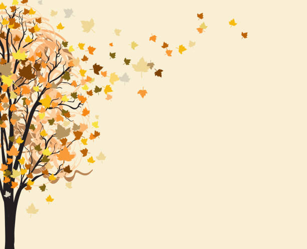 ilustrações, clipart, desenhos animados e ícones de árvore de outono amarelo. fundo de outono. - falling leaf tree autumn