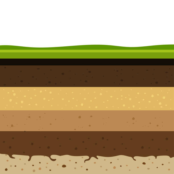 layers of soil Layers of grass with Underground layers of earth, seamless ground, cut of soil profile with a grass, layers of the earth, clay and stones, ground water bedrock stock illustrations