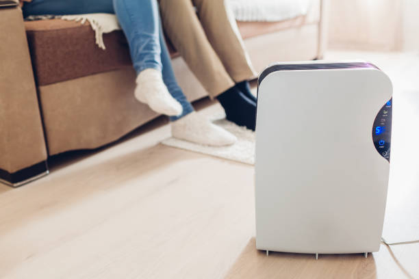 istock Dehumidifier with touch panel, humidity indicator, uv lamp, air ionizer, water container works in apartment. Close up 1076906100
