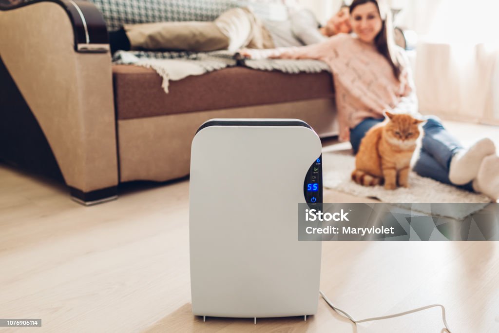 Dehumidifier with touch panel, humidity indicator, uv lamp, air ionizer, water container works at home. Dampness Dehumidifier with touch panel, humidity indicator, uv lamp, air ionizer, water container works at home while people chilling. Dampness concept Dehumidifier Stock Photo