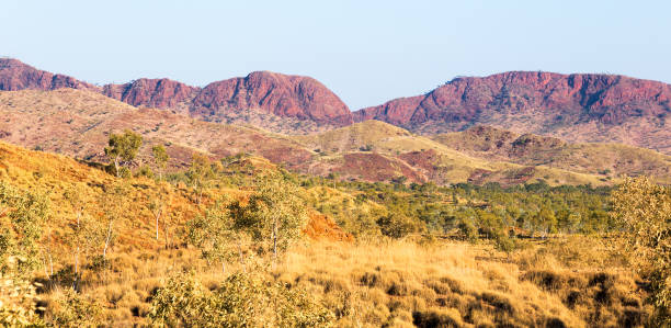 Fitzroy Crossing is a great base to explore Tunnel Creek National Park and Windjana Gorge National Park   the mountains are part of the King Leopold Ranges