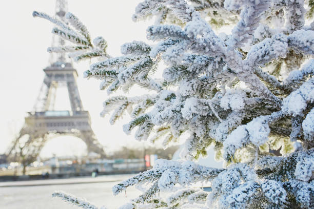 istock Christmas tree covered with snow near Eiffel tower 1076910676