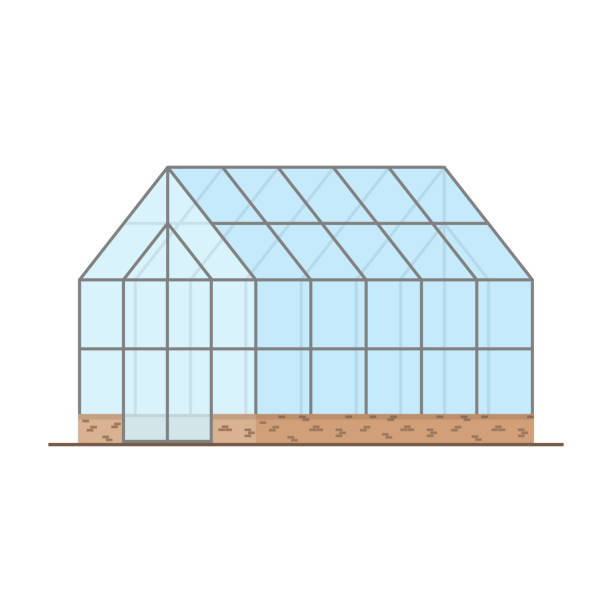 ilustraciones, imágenes clip art, dibujos animados e iconos de stock de efecto invernadero vacío con paredes de cristal, techo a dos aguas - greenhouse