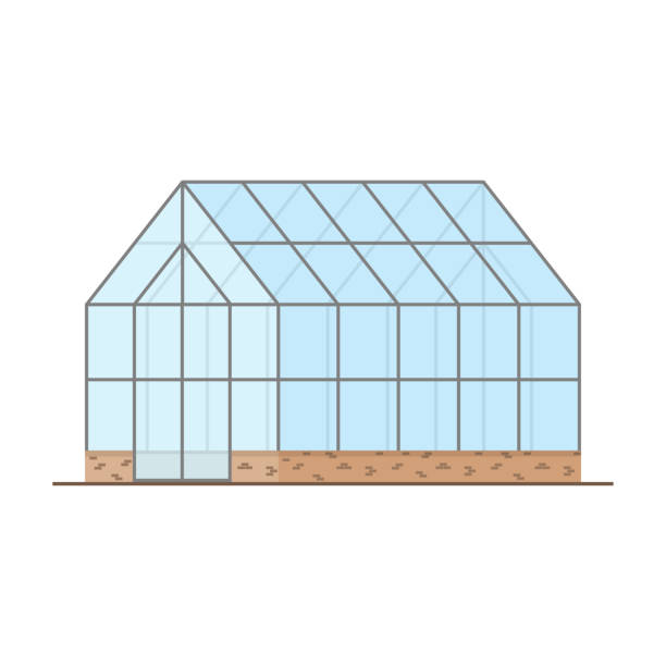 ilustrações de stock, clip art, desenhos animados e ícones de empty greenhouse with glass walls, gable roof - greenhouse