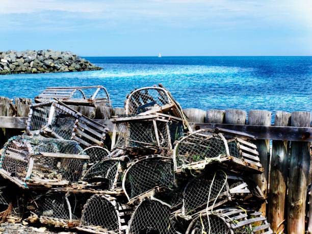 Lobsters and crayfishs cages Abandoned lobsters cages on the sea shores in Gaspésie gaspe peninsula stock pictures, royalty-free photos & images