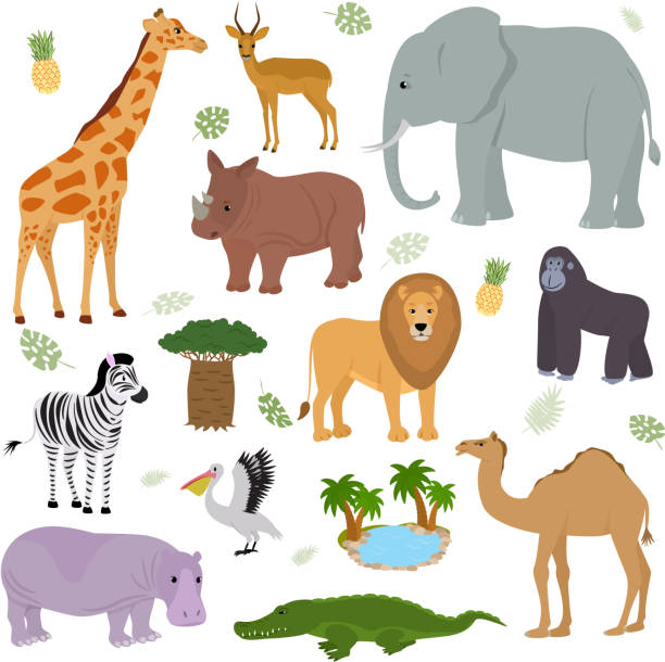 illustrazioni stock, clip art, cartoni animati e icone di tendenza di vettore animale africano carattere animalesco selvatico elefante giraff - kruger national park illustrations