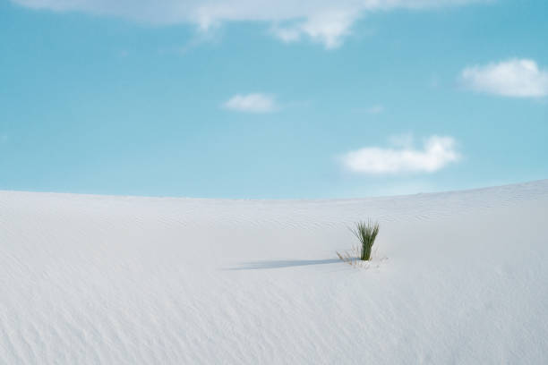 ホワイト サンズ ドリームランド - new mexico landscape sky ethereal ストックフォトと画像