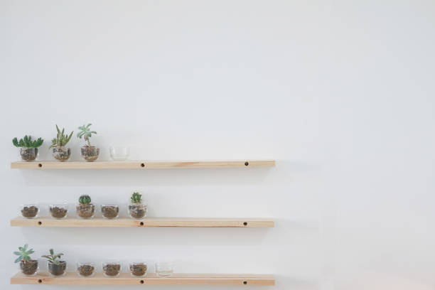 istock succulent cactus plant in pot decorating on wood shelf 1076947510