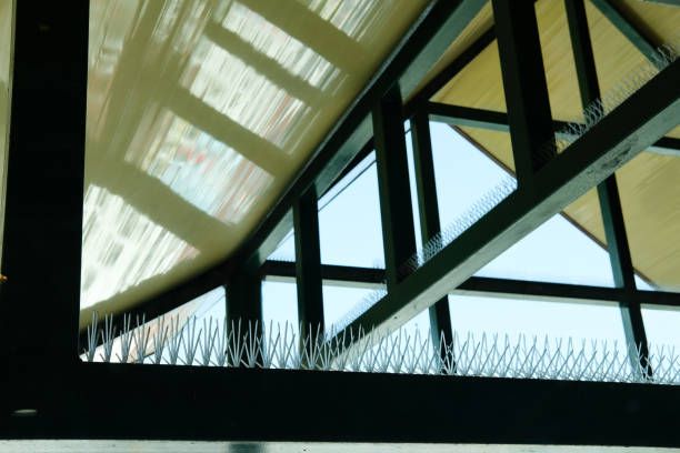 istock anti bird spike for protecting building from pigeon 1076947652