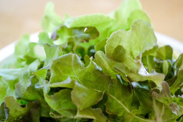istock Delicious green salad 1076954994