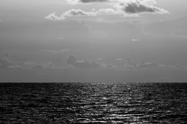istock Black And White View Of The Gulf Coast 1076962036