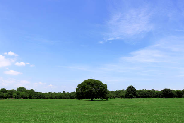 Landscape of the destination