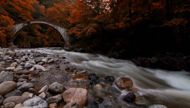 Autumnal colorful river and stone bridge over stock photo