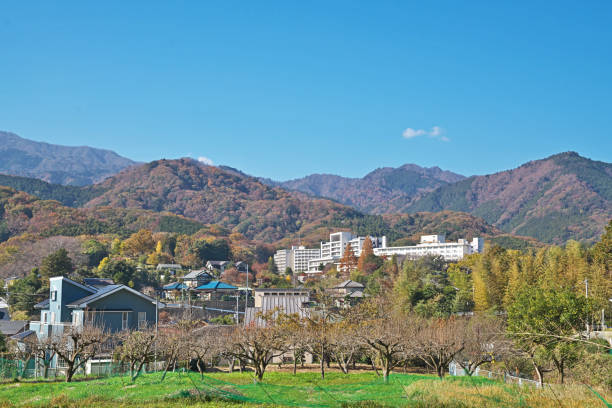istock The mountain which became the autumnal scenery 1076988854