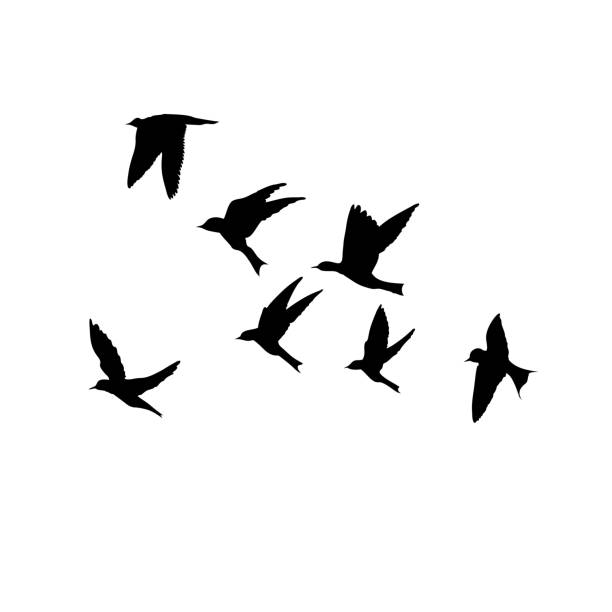istock Silhouette of flying birds on white background. Inspirational body flash tattoo ink. Vector. 1076990264