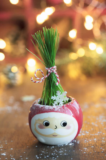 Fresh Green wheat in Santa cup with Christmas lights and decoration on background, vertical background