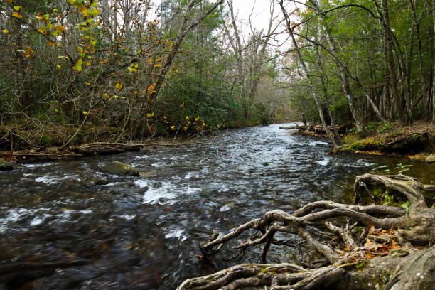 istock Fall time frost, frozen morning and river flowing in front 1077006738