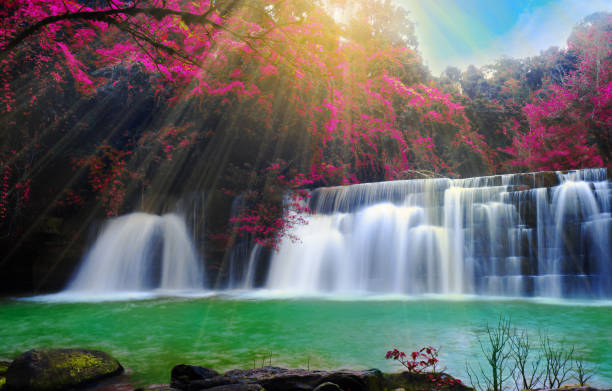 istock Waterfall in wonderful deep forest at Petchaboon province,Thailand. 1077021338