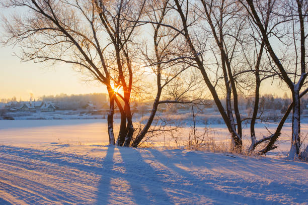 istock winter morning with snow and frost 1077027142