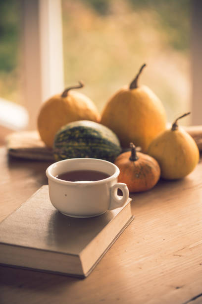 istock Relaxing over a book and a cup of tea 1077028696