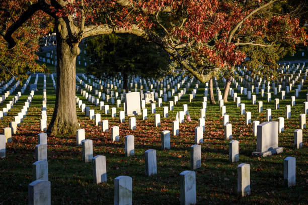 istock Arlington National Cemetery. Veterans Day 1077038132
