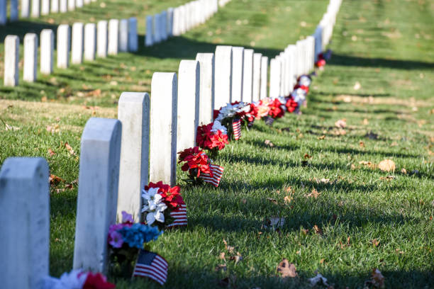 arlington staatsangehörig-kirchhof. veterans day - tomb tomb of the unknown soldier arlington national cemetery place of burial stock-fotos und bilder