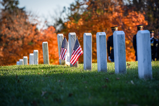 Arlington National Cemetery. Veterans Day
