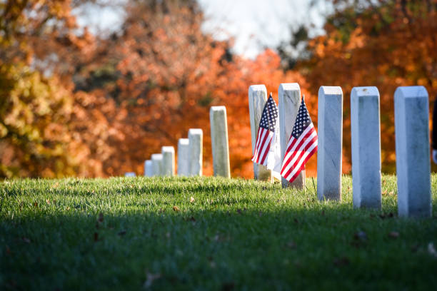 アーリントン国立墓地。復員軍人の日 - arlington national cemetery virginia cemetery american flag ストックフォトと画像