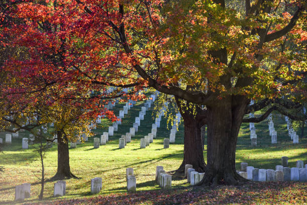 istock Arlington National Cemetery. Veterans Day 1077039058