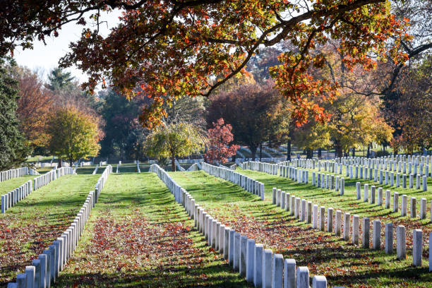 istock Arlington National Cemetery. Veterans Day 1077039130