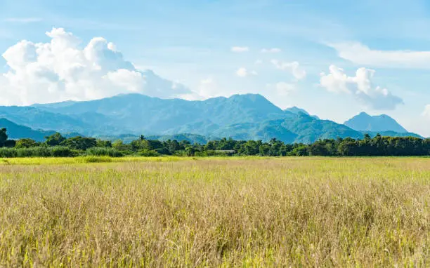 Photo of Scenery view of Doi Nang Non (