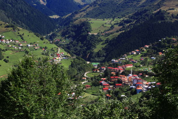 istock black sea green nature Hamsikoy 1077041058