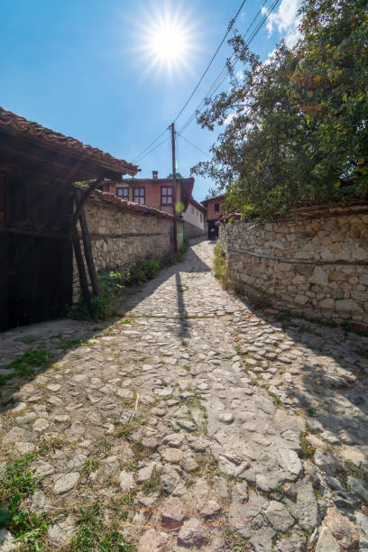 istock Koprivshtitsa houses 1077043670