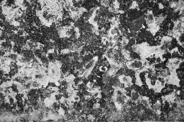 istock Stones texture and background. Rock texture. Abstract texture and background for designers 1077053684